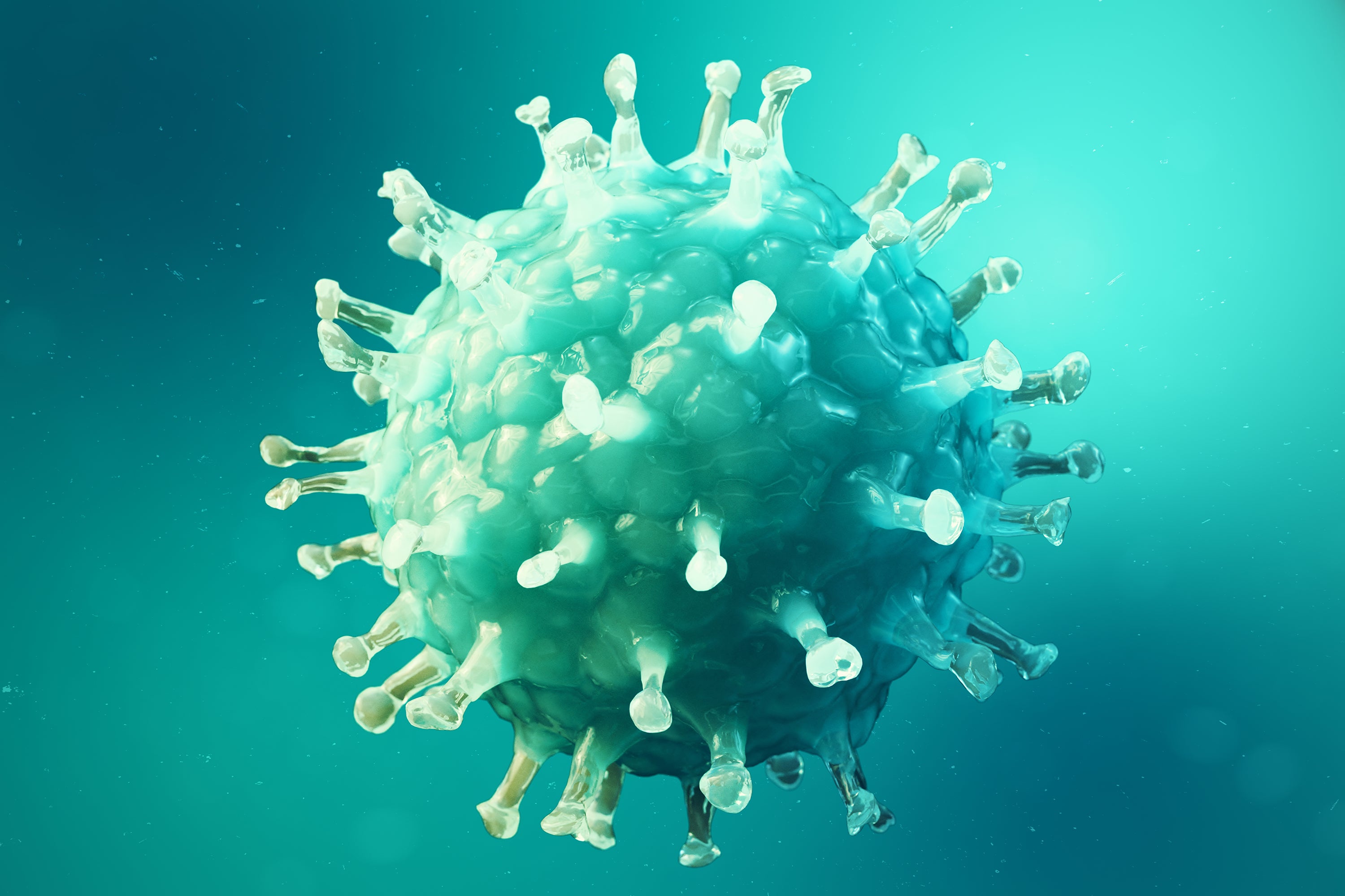 COVID-19 Disaster Relief