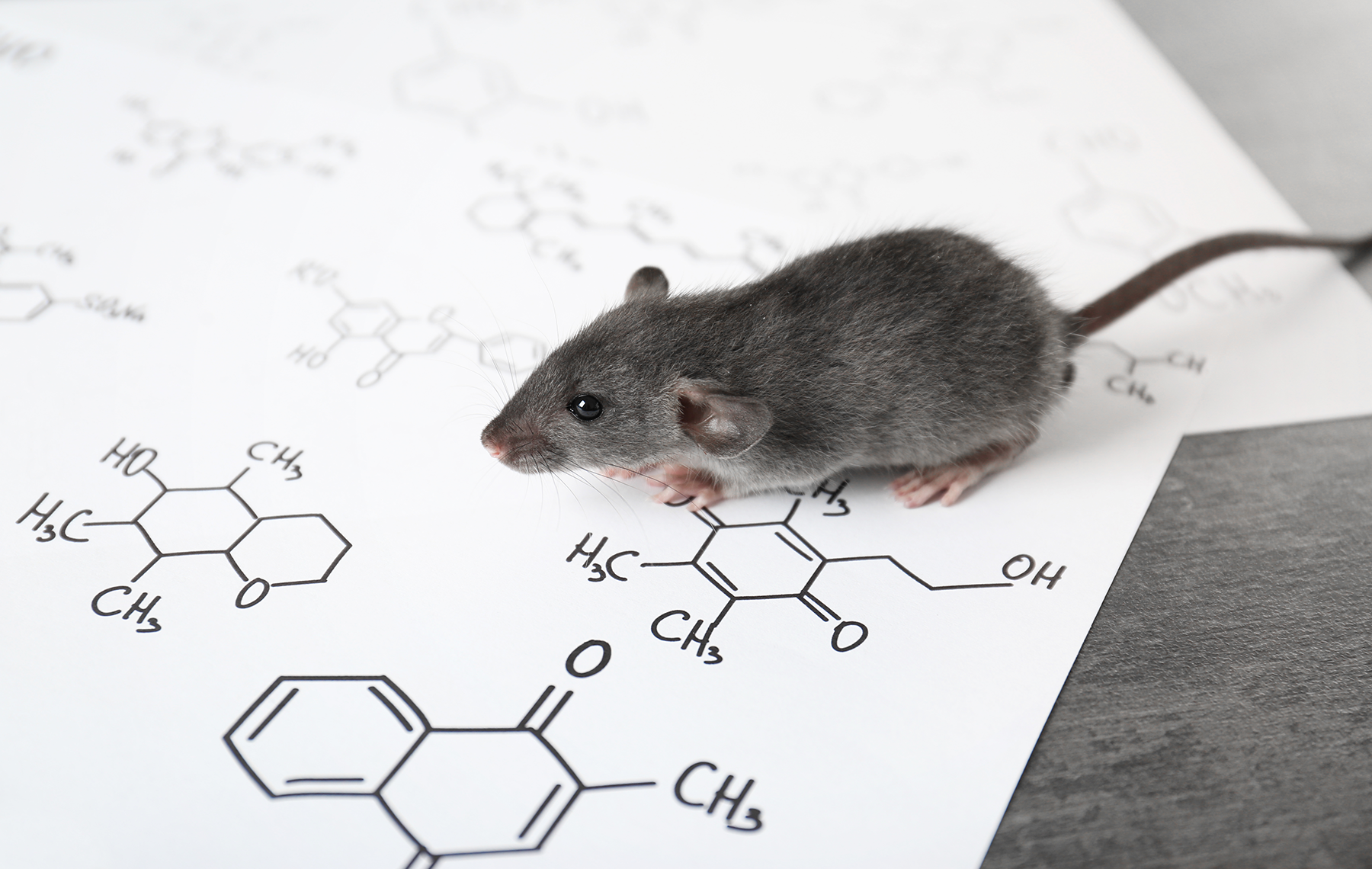 Topical Hypochlorite Ameliorates NF-kB-Mediated Skin Diseases in Mice