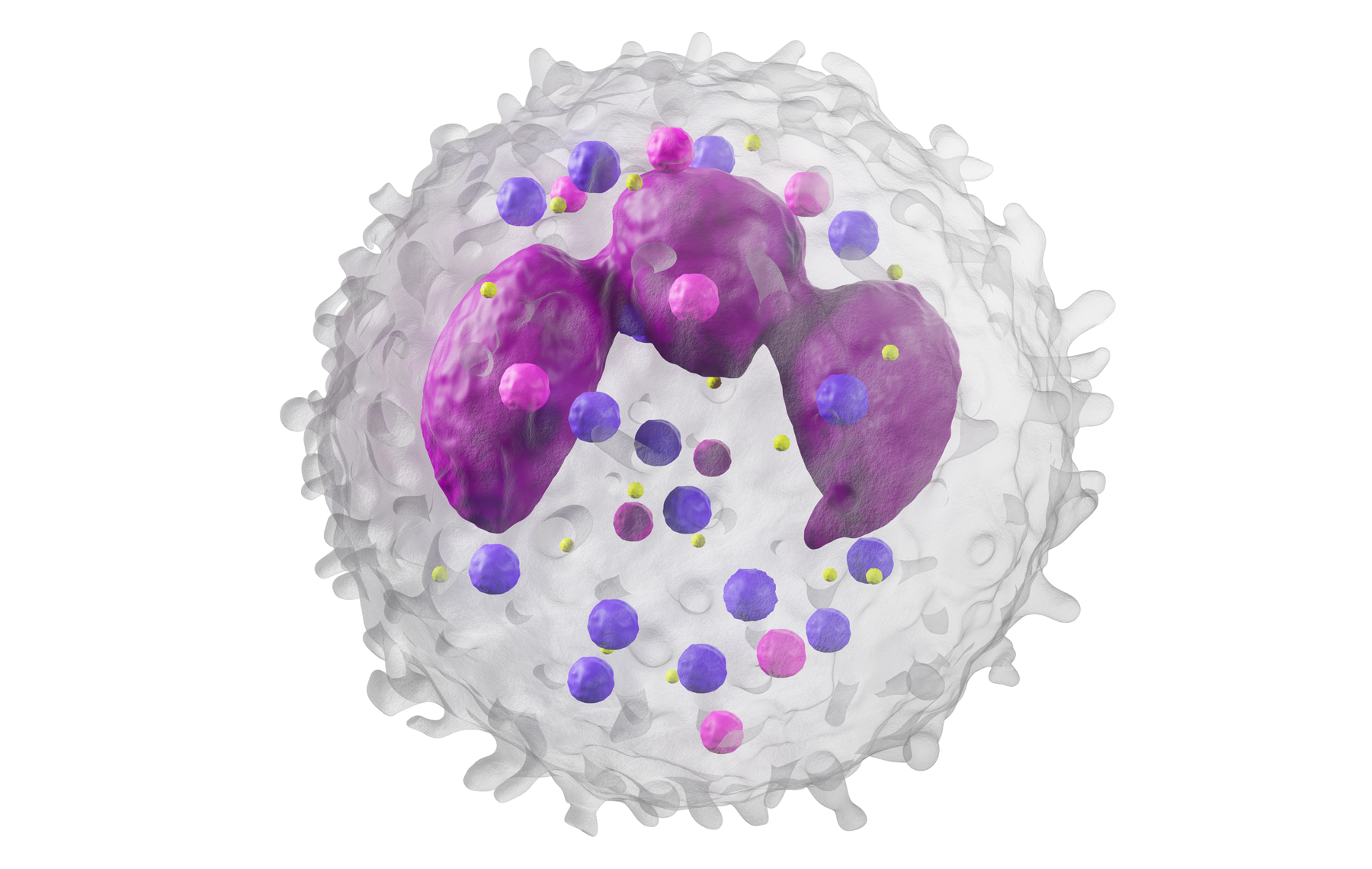 Oxidative Modification of von Willebrand Factor by Neutrophil Oxidants Inhibits its Cleavage by ADAMTS13