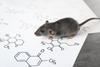 Topical Hypochlorite Ameliorates NF-kB-Mediated Skin Diseases in Mice
