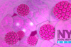 Briotech, UW Bothell, & PennState Present HPV & Oropharyngeal Cancer Research