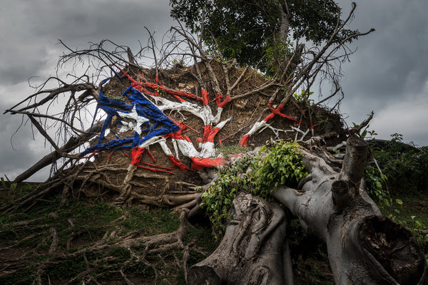 Hurricane Irma & Maria Relief